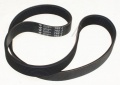 Dito Sama Electrolux Poly-v-belt J - 0961j04800 Belt - 0KI986